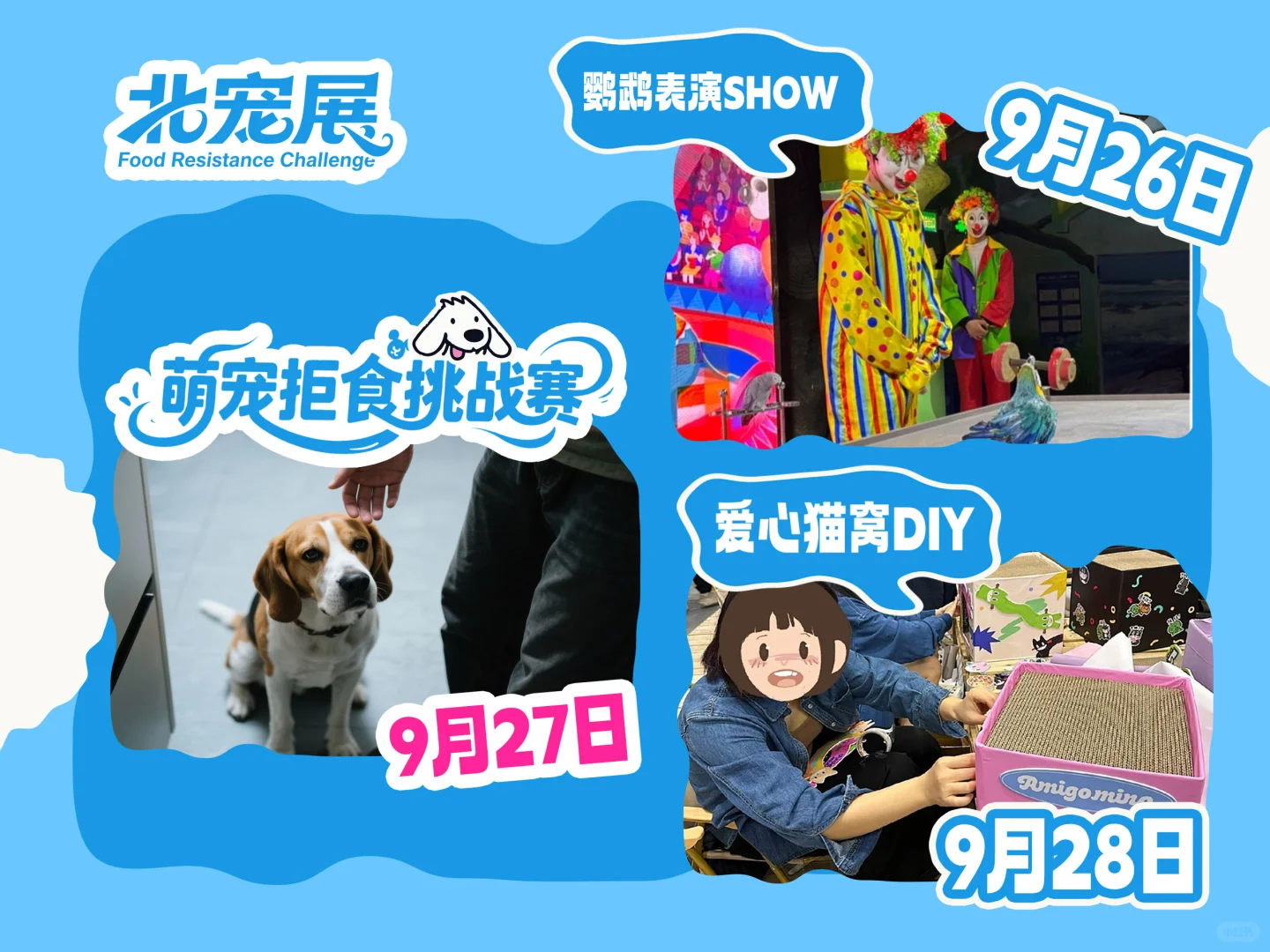 ?晒出你的毛孩子，北宠展免费票抱走！