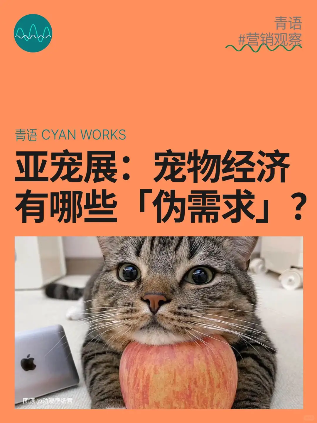 亚宠展：新兴宠物经济里有哪些「伪需求」？