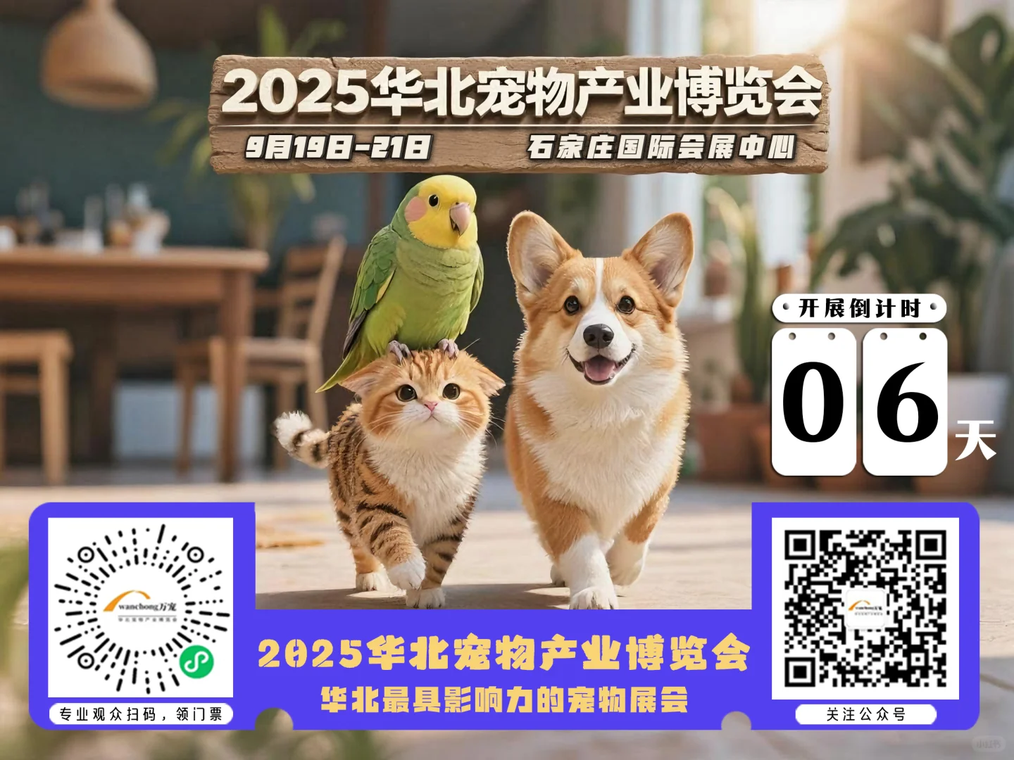 薅羊毛啦 石家庄宠物展