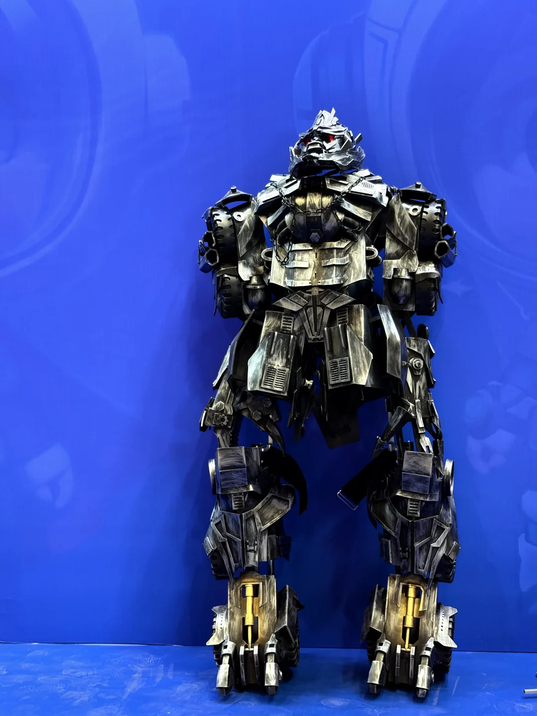 终于要去看国之重器了！“面基”摘星星的妈妈