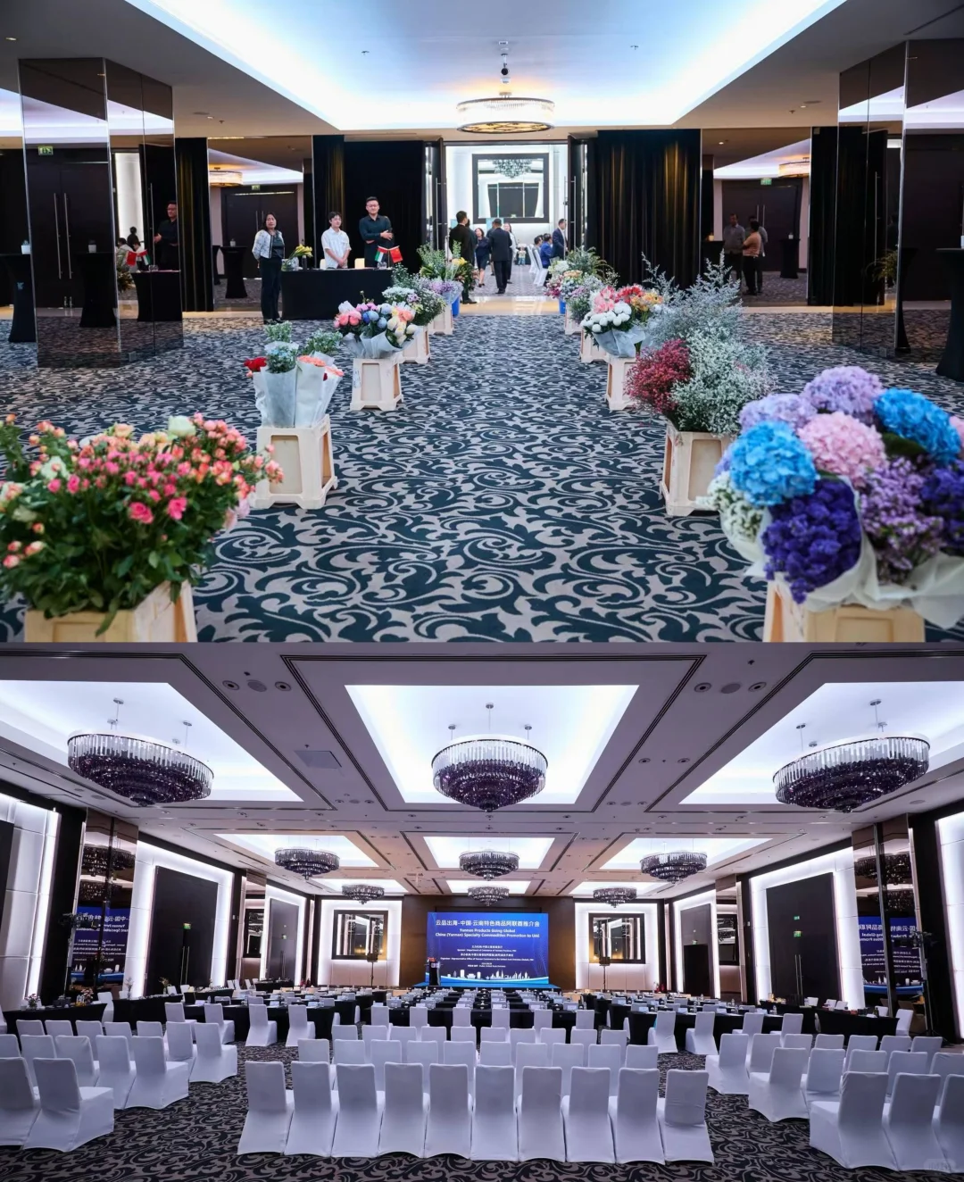 云南省特色商品阿联酋推介会