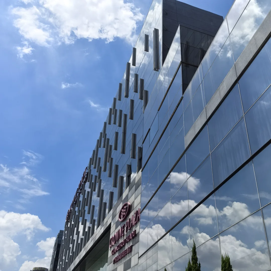 传销大会×阿里文化✓