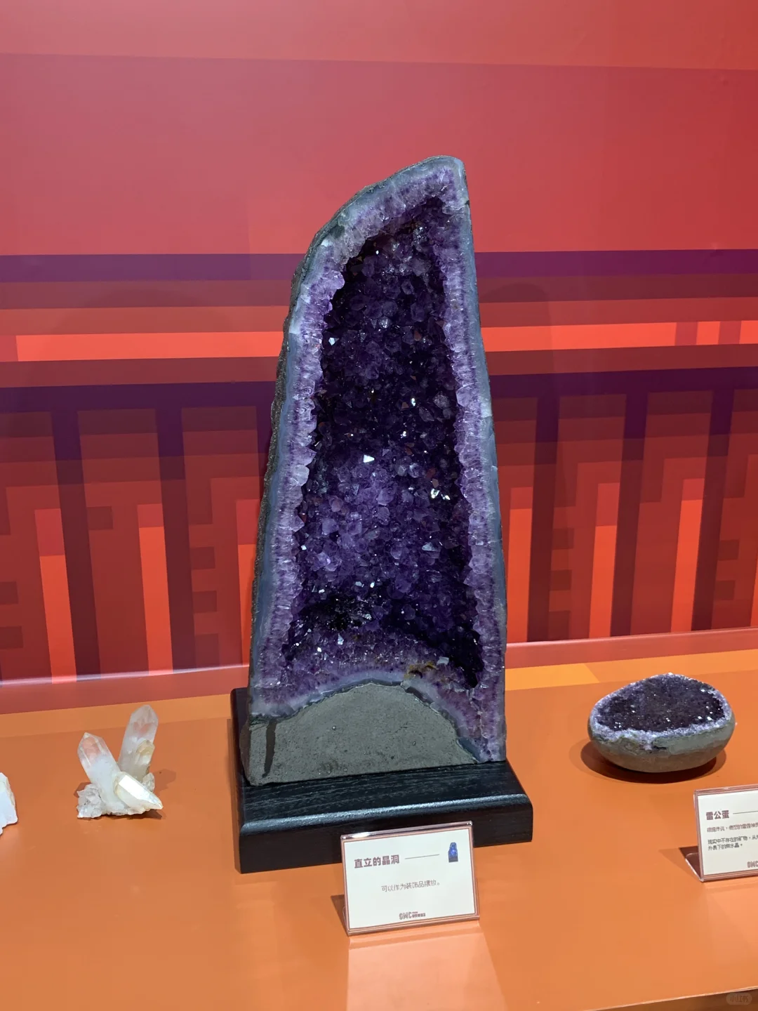 上海星露谷展会！