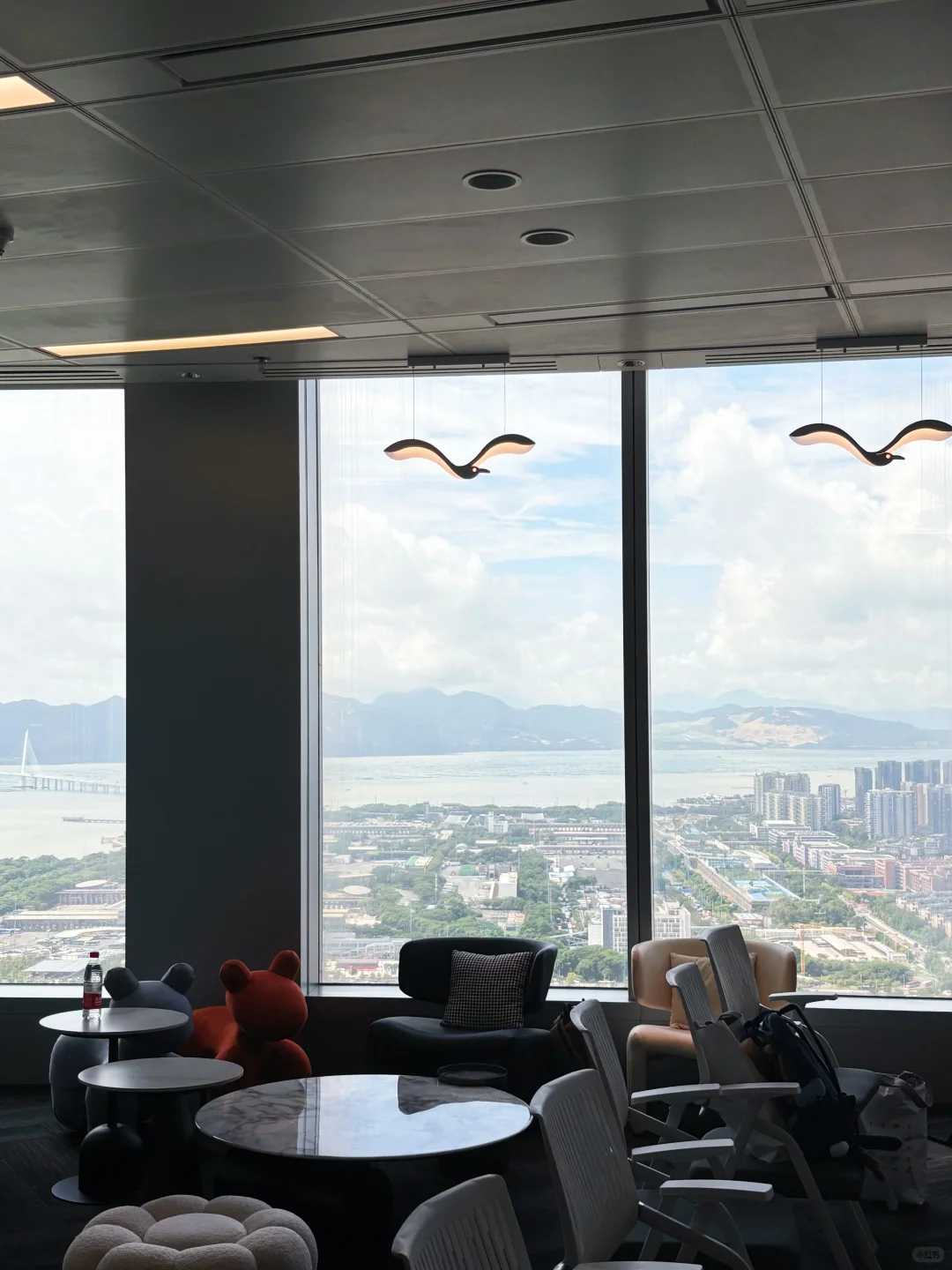 职此青绪 未来可期?