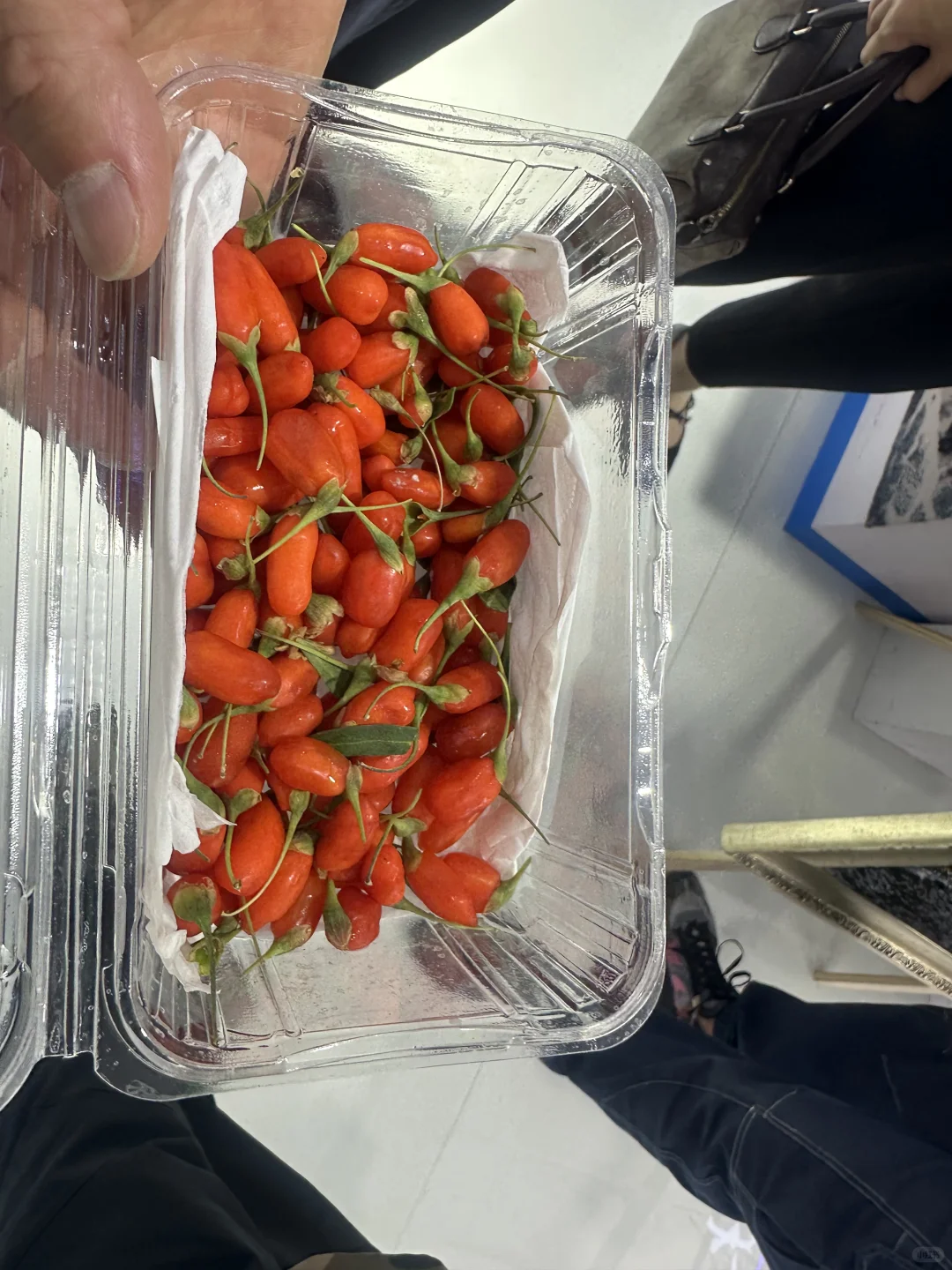 服贸会| 羊毛没怎么薅，消费?339