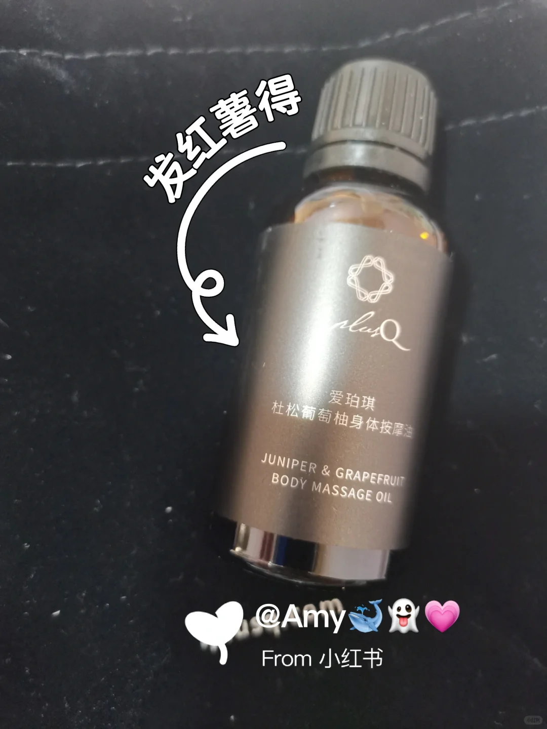 2025.08.22世博芳香展