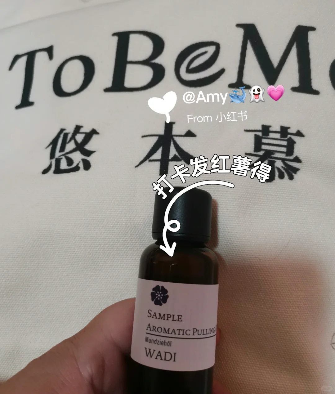 2025.08.22世博芳香展