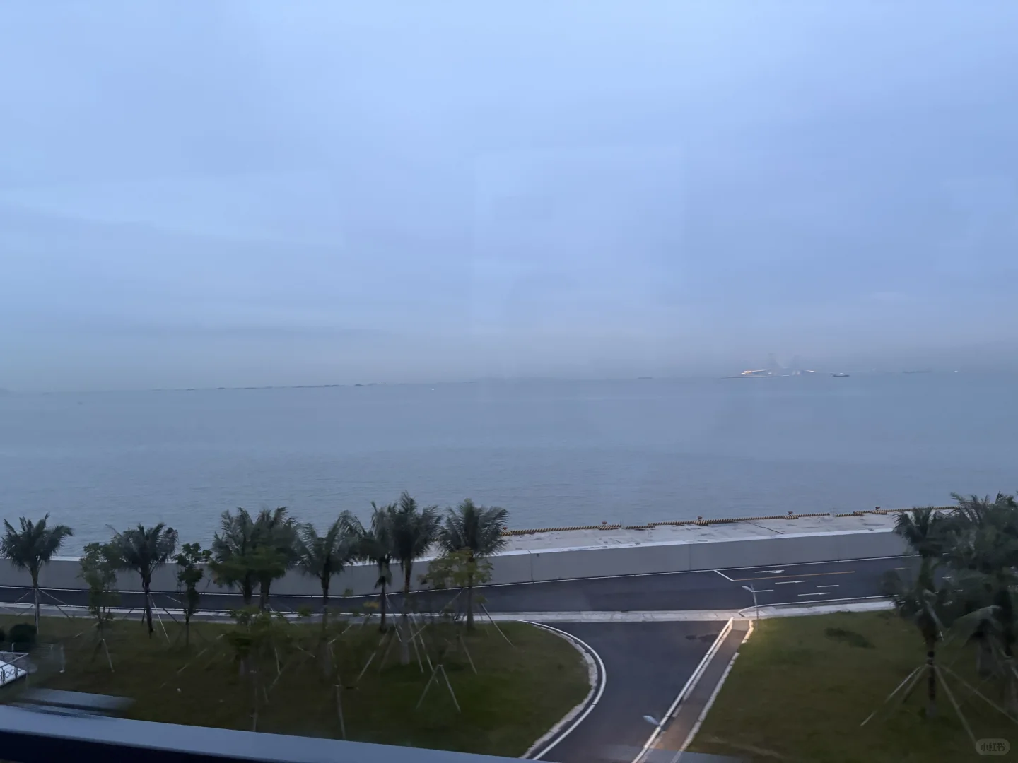 职此青绪 未来可期?