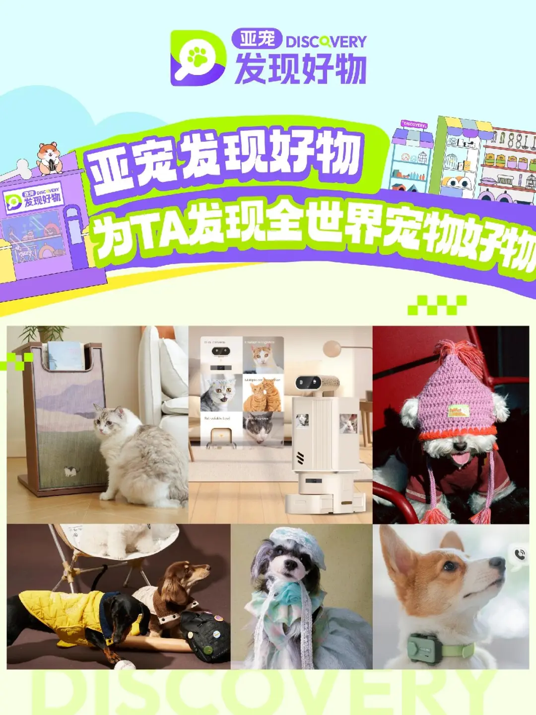 第27届亚宠展盛大开票！8月亚宠见！