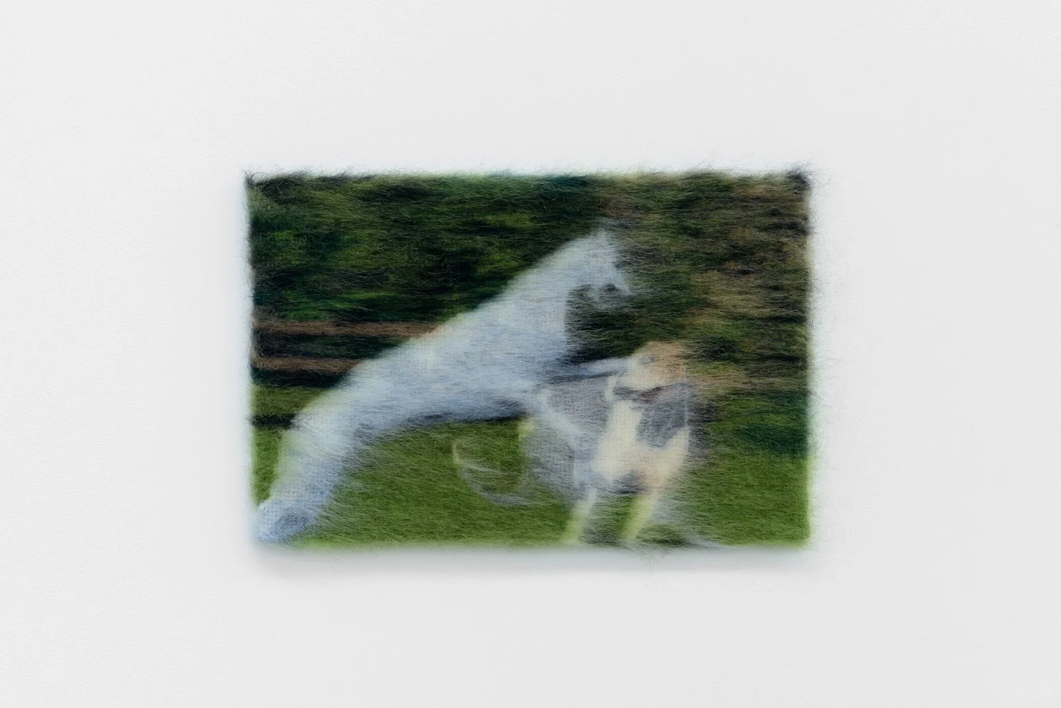 巴黎画廊的奇幻刺绣展：沉浸自然与寓言世界