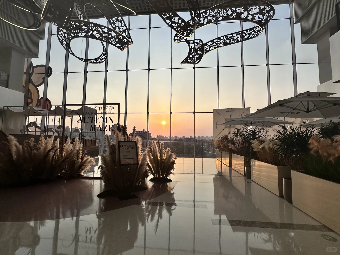 北邮国际合作岗