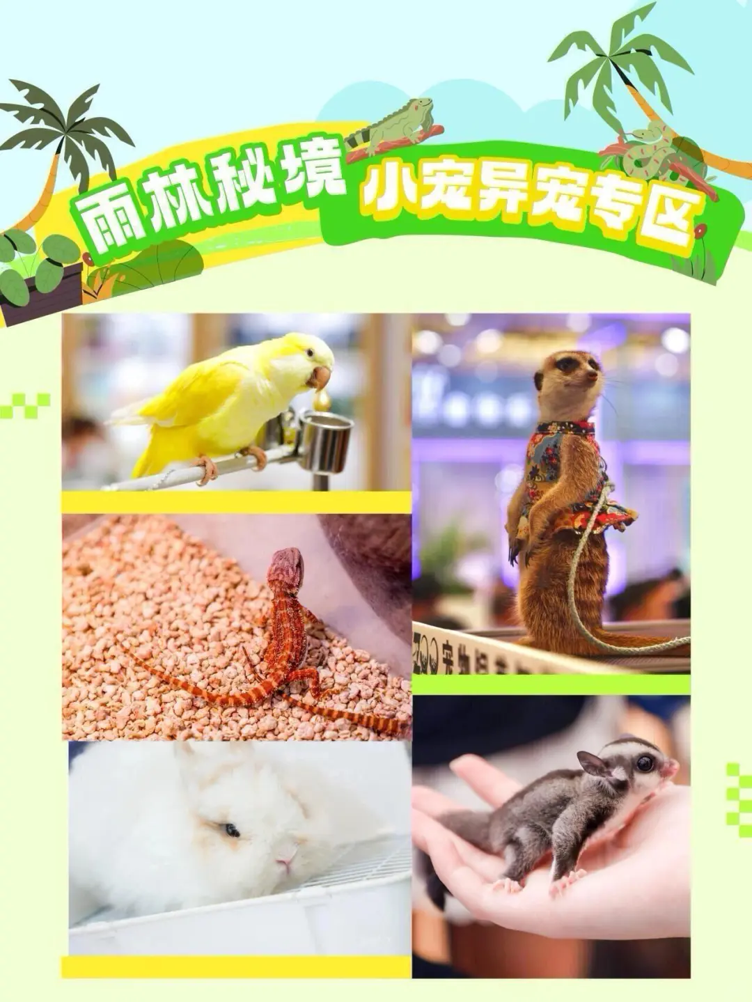 第27届亚宠展盛大开票！8月亚宠见！