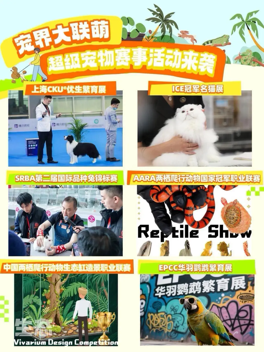 第27届亚宠展盛大开票！8月亚宠见！