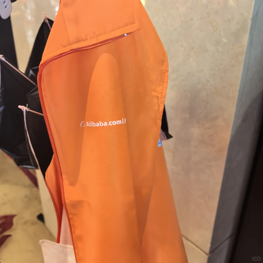 传销大会×阿里文化✓