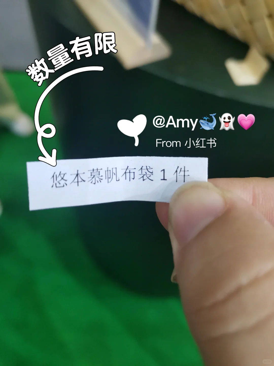 2025.08.22世博芳香展