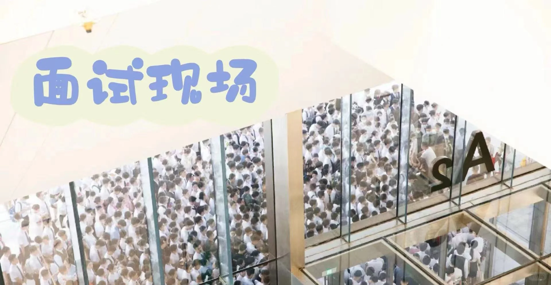 关于金通推介会你应该选择哪些航司更适合你