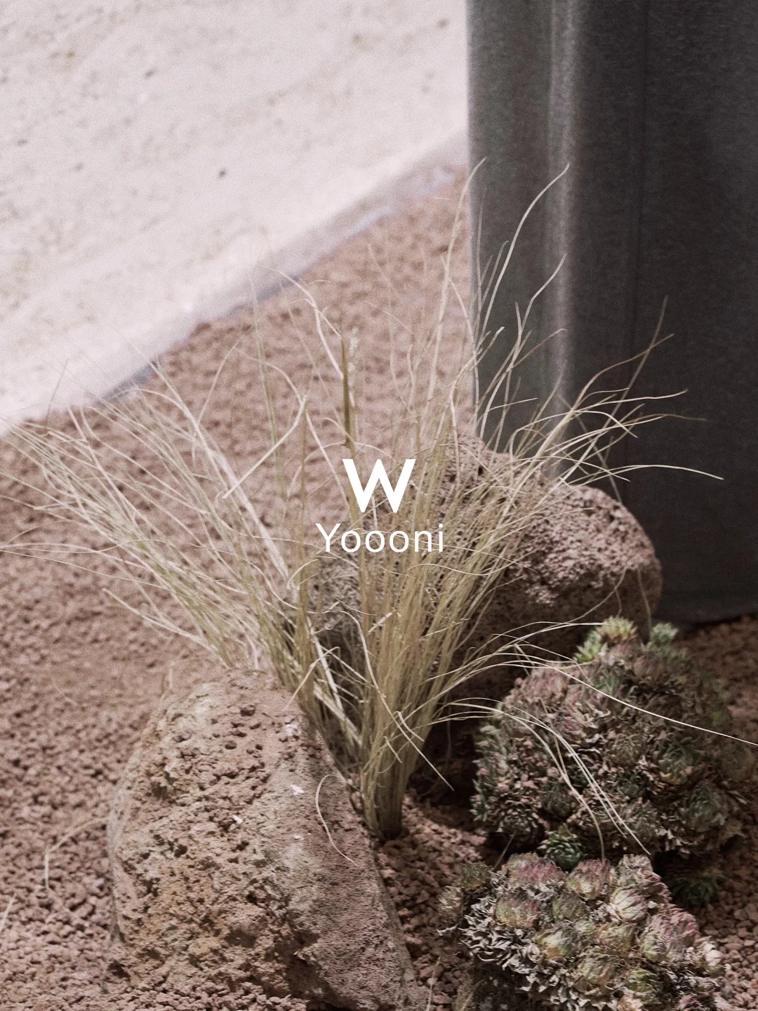 展会圆满收官｜从设计到审美认同的双向奔赴