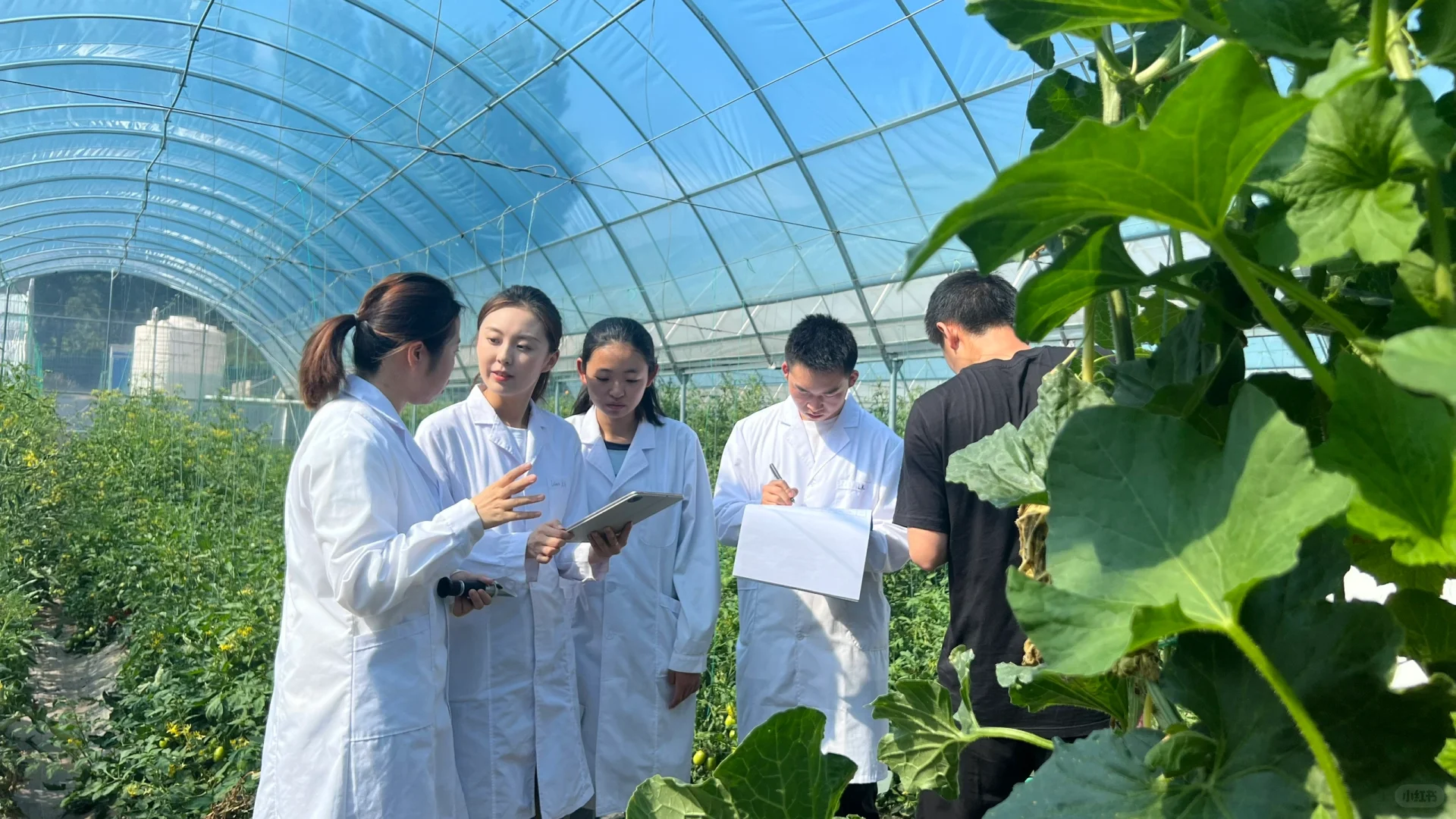 山东人才引进宣传片拍摄