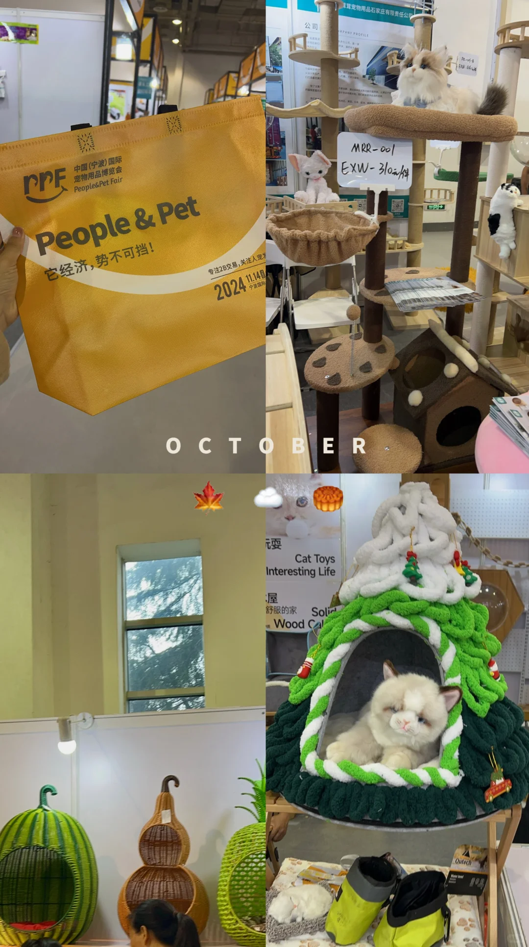 哈哈哈会展中心宠物战利品