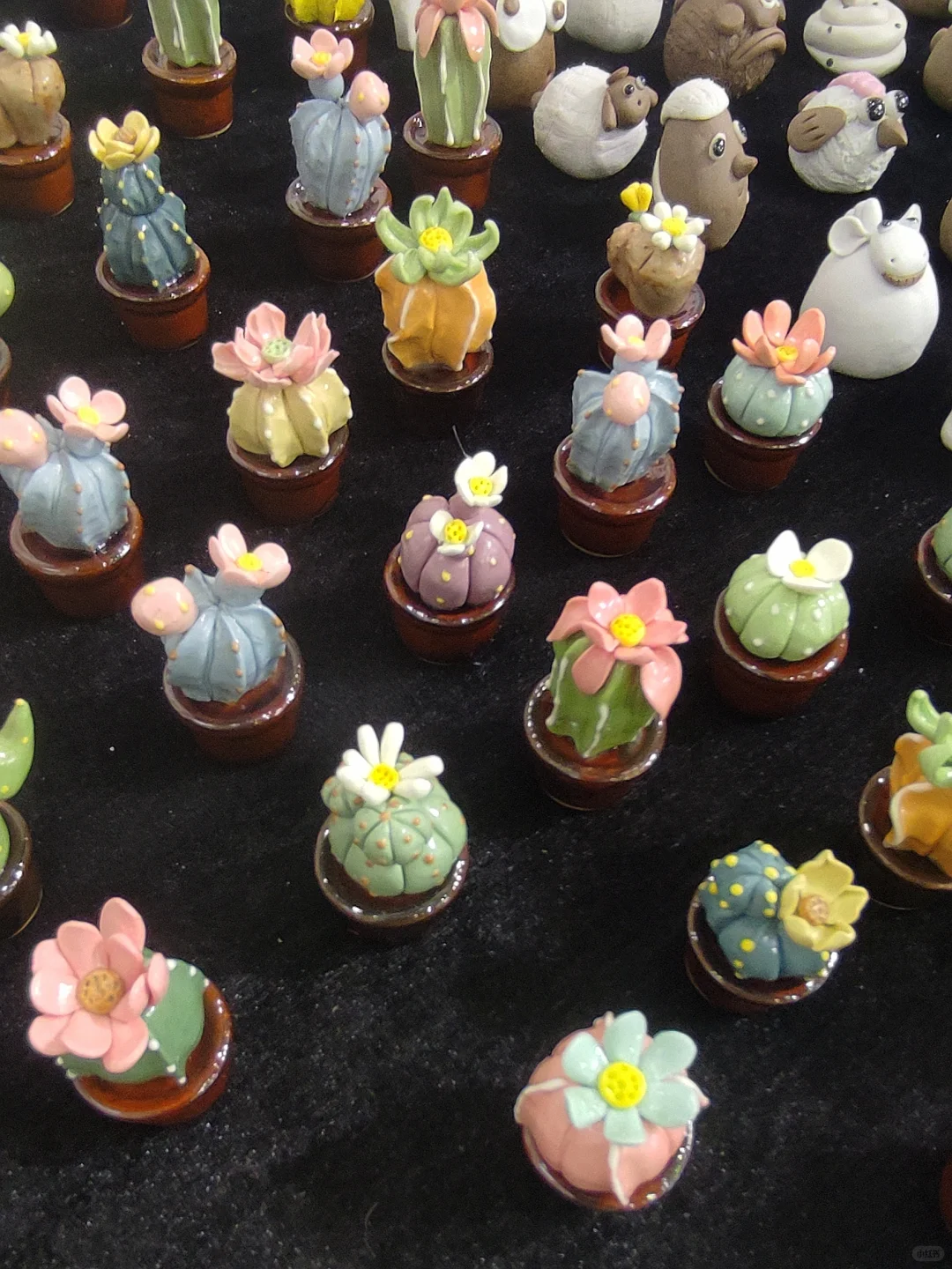 唐山2025年陶博会开始啦！超强采购攻略！