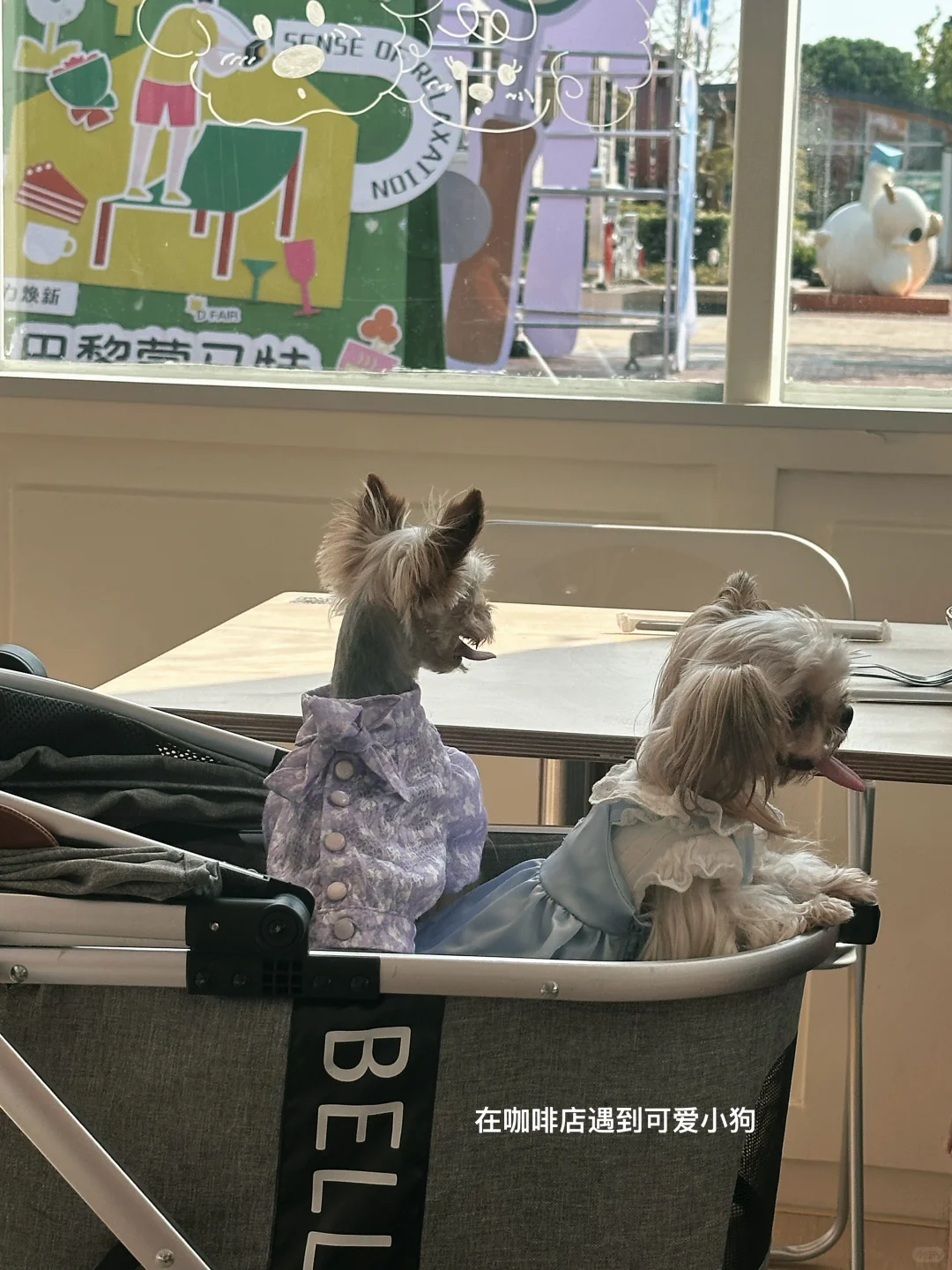 会展打工日记?允许问题“暂时没有答案”?