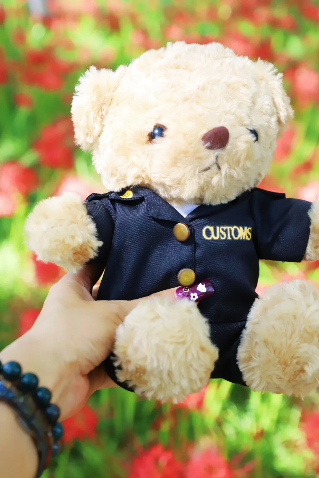 悦来会展公园 | 彼岸花