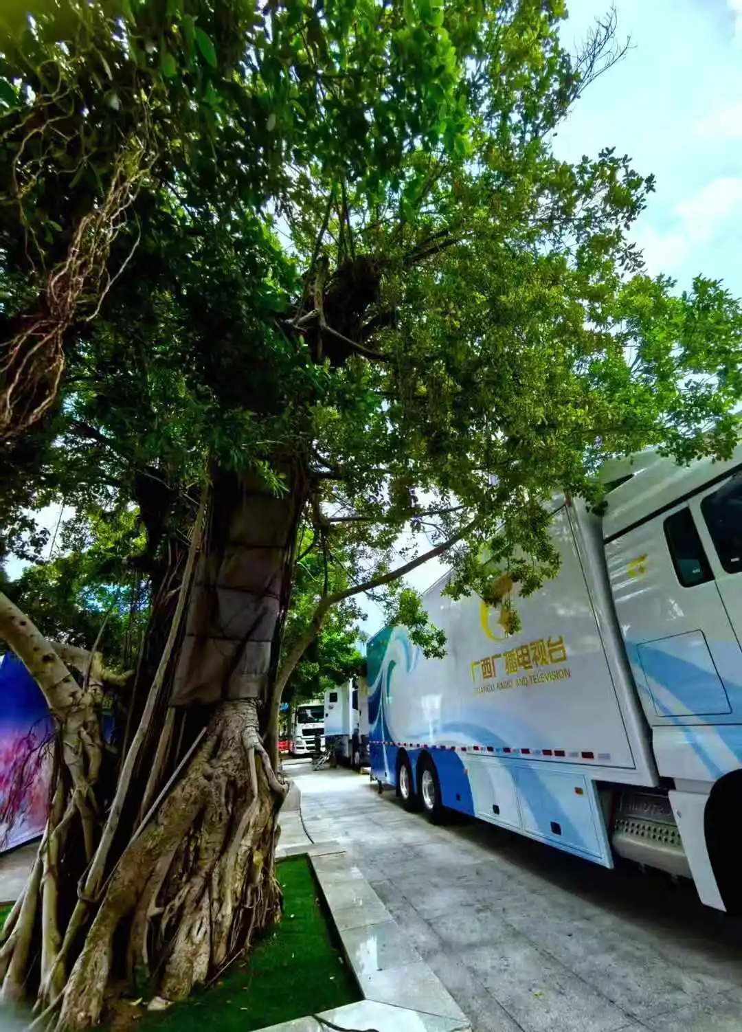 今日打卡南宁国际会展中心☀️