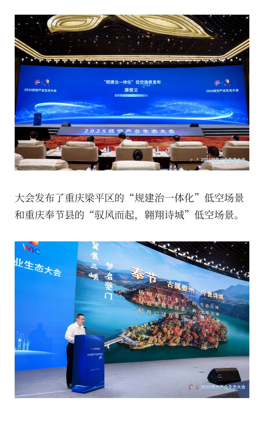 2025低空产业生态大会在渝举行