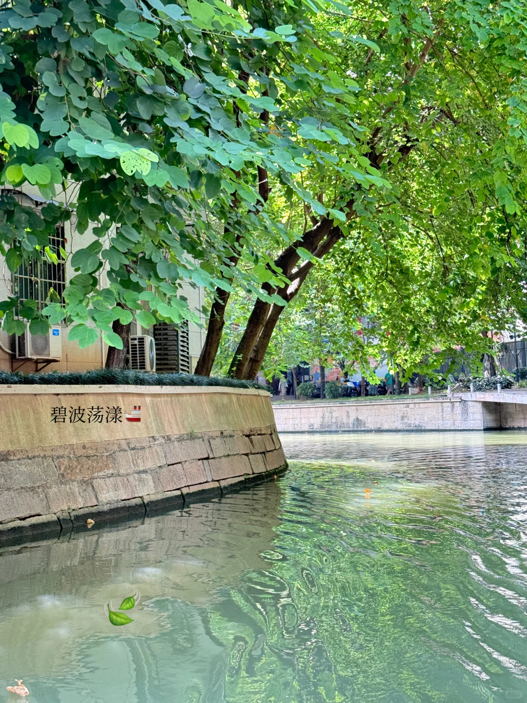 ᵕ̈ 紫色的记忆带来了花船? ͛.͛ ᐝ