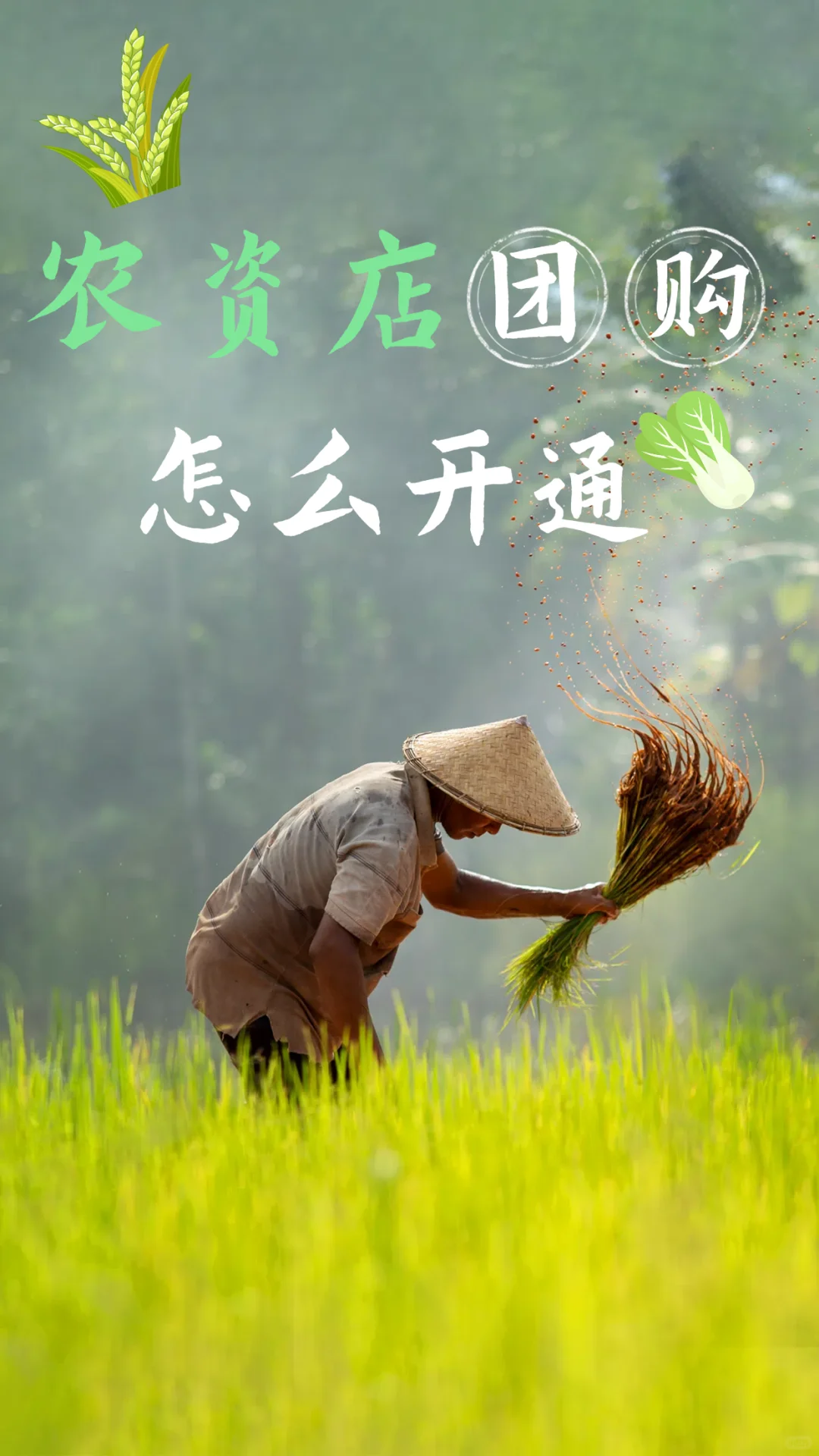 农资店团购怎么开通？一文教会你