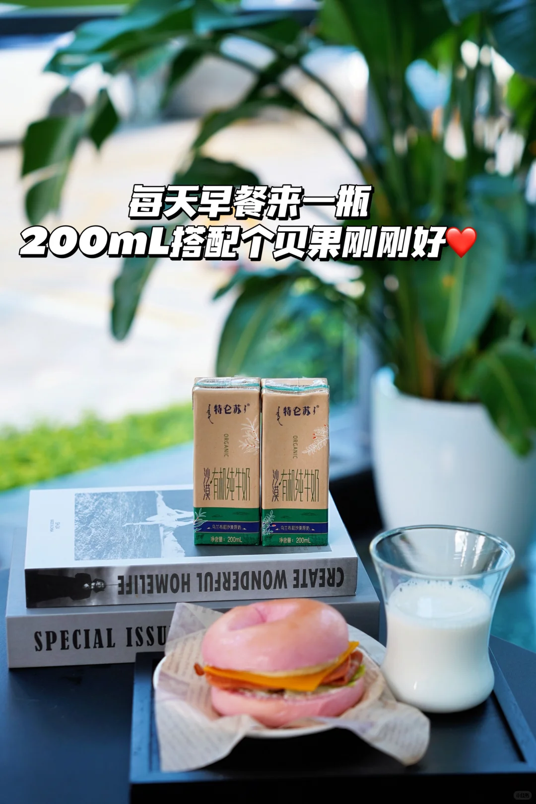 开市客的宝藏牛奶被我发现了❗❗