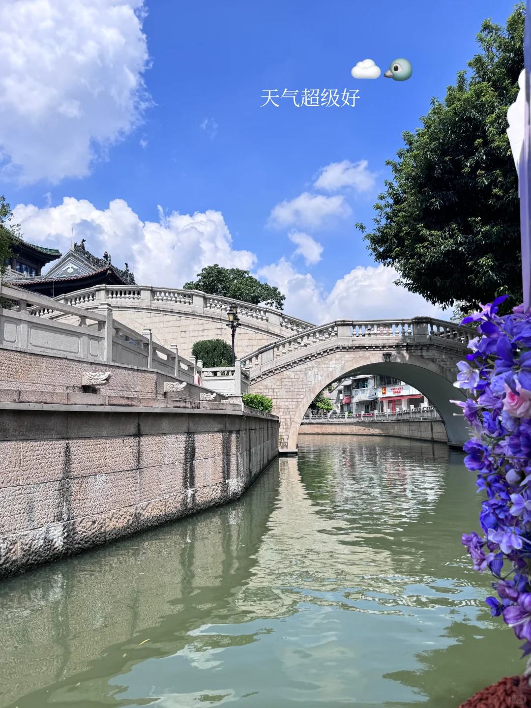 ᵕ̈ 紫色的记忆带来了花船? ͛.͛ ᐝ