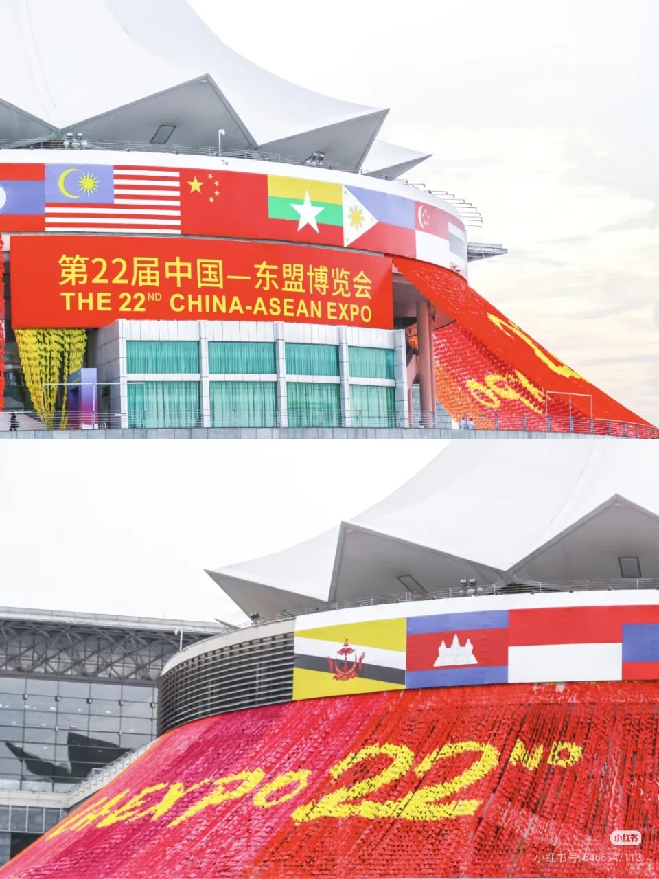 2025东盟博览会，我来了！