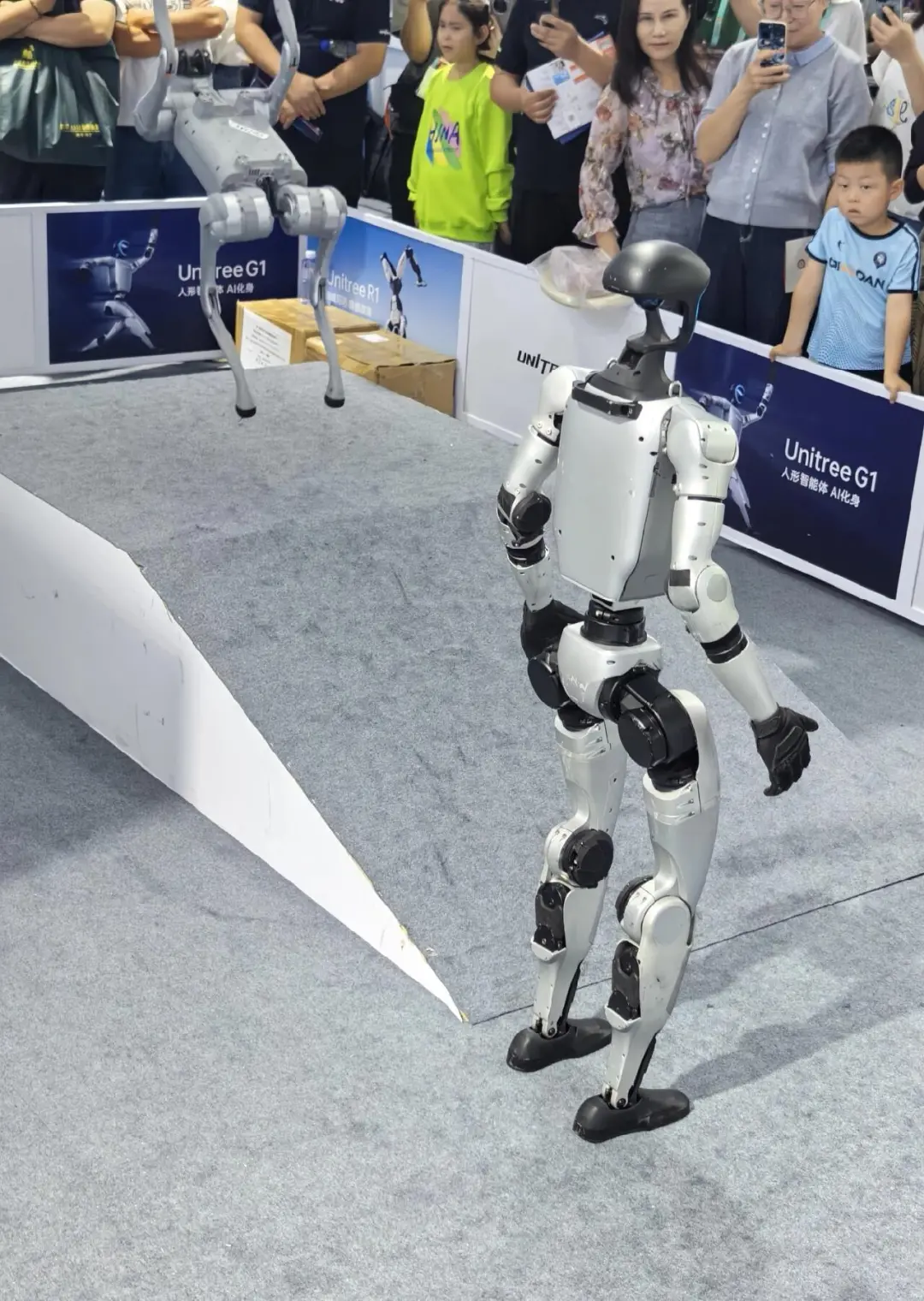 今天干点啥？第七届中阿博览会体验报告