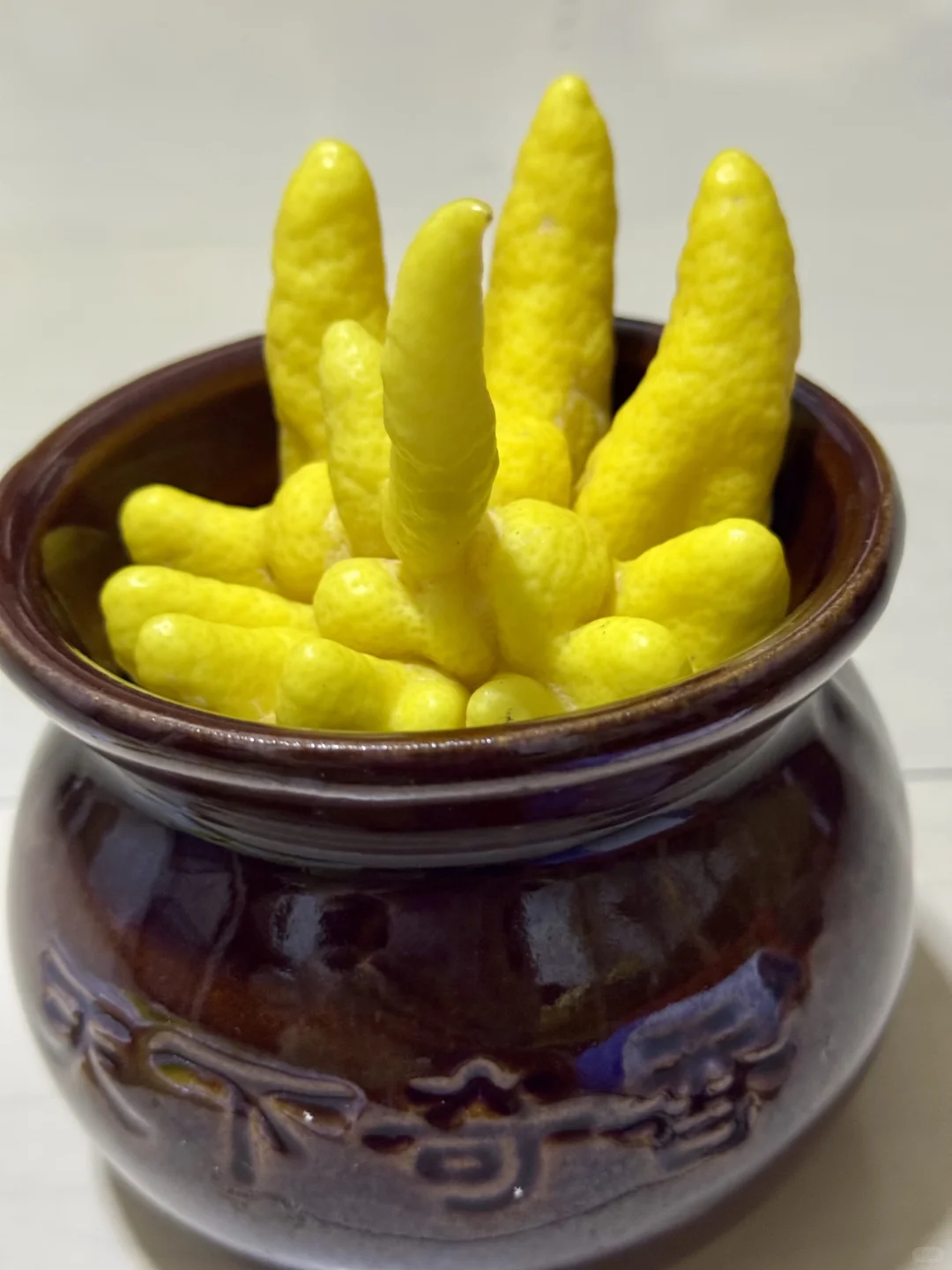 服贸会领到了好多东西?