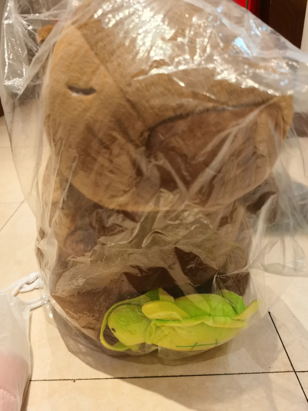 2025 首钢服贸会-羊毛攻略！第二天