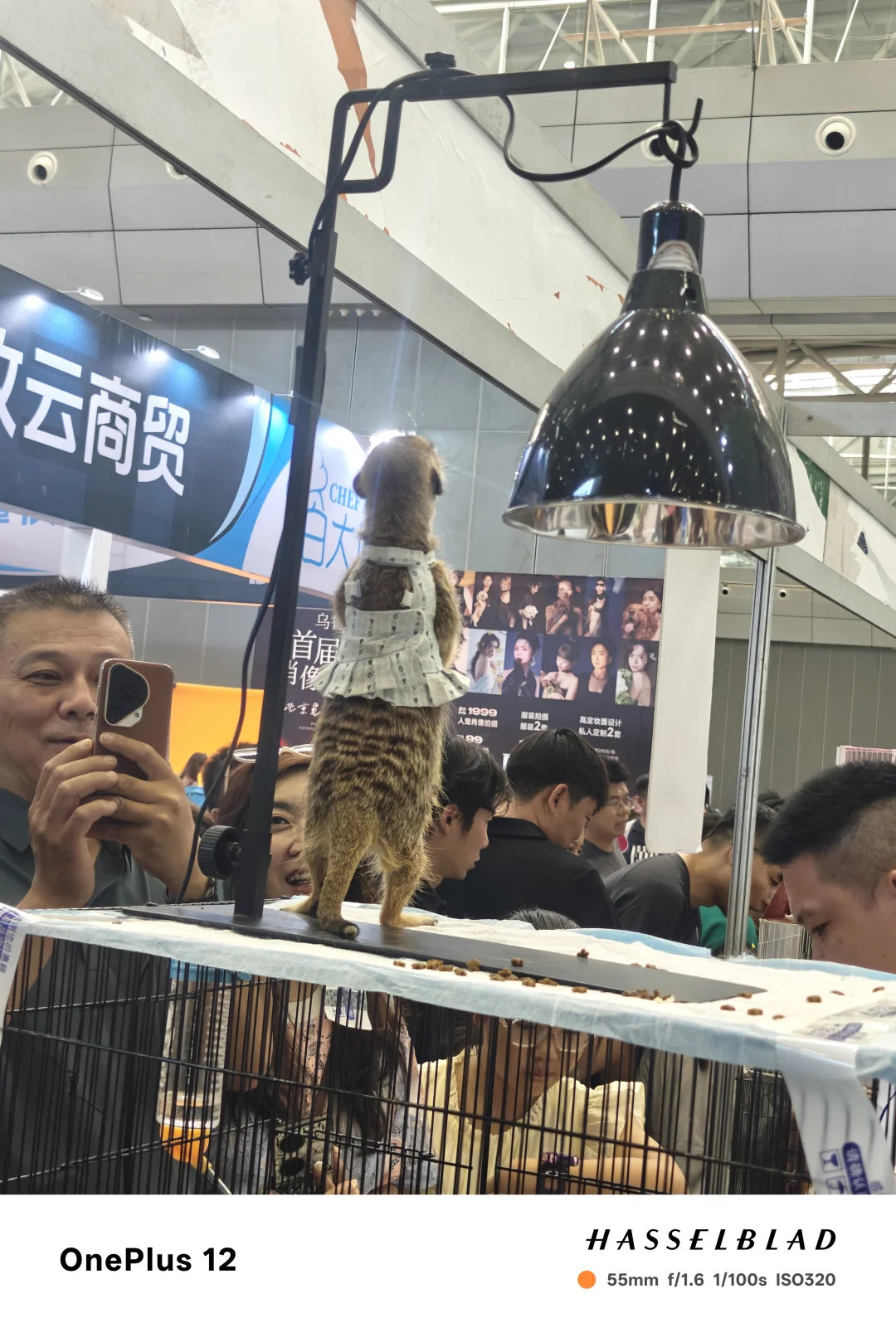 新疆国际会展中心宠物展