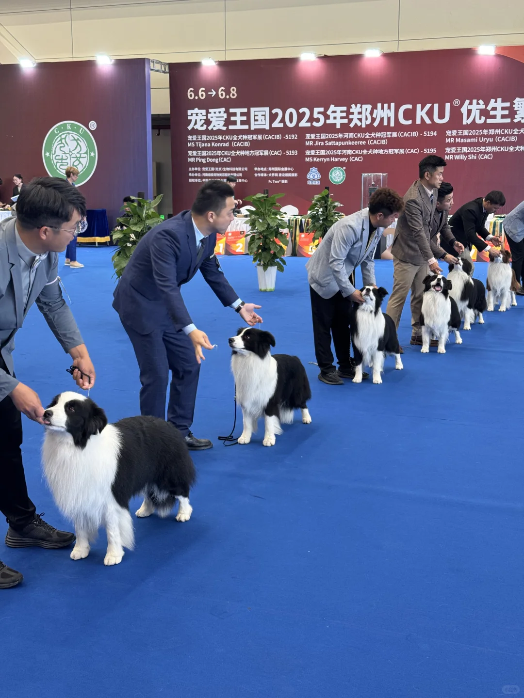 刚逛完郑州会展中心中原宠物展?