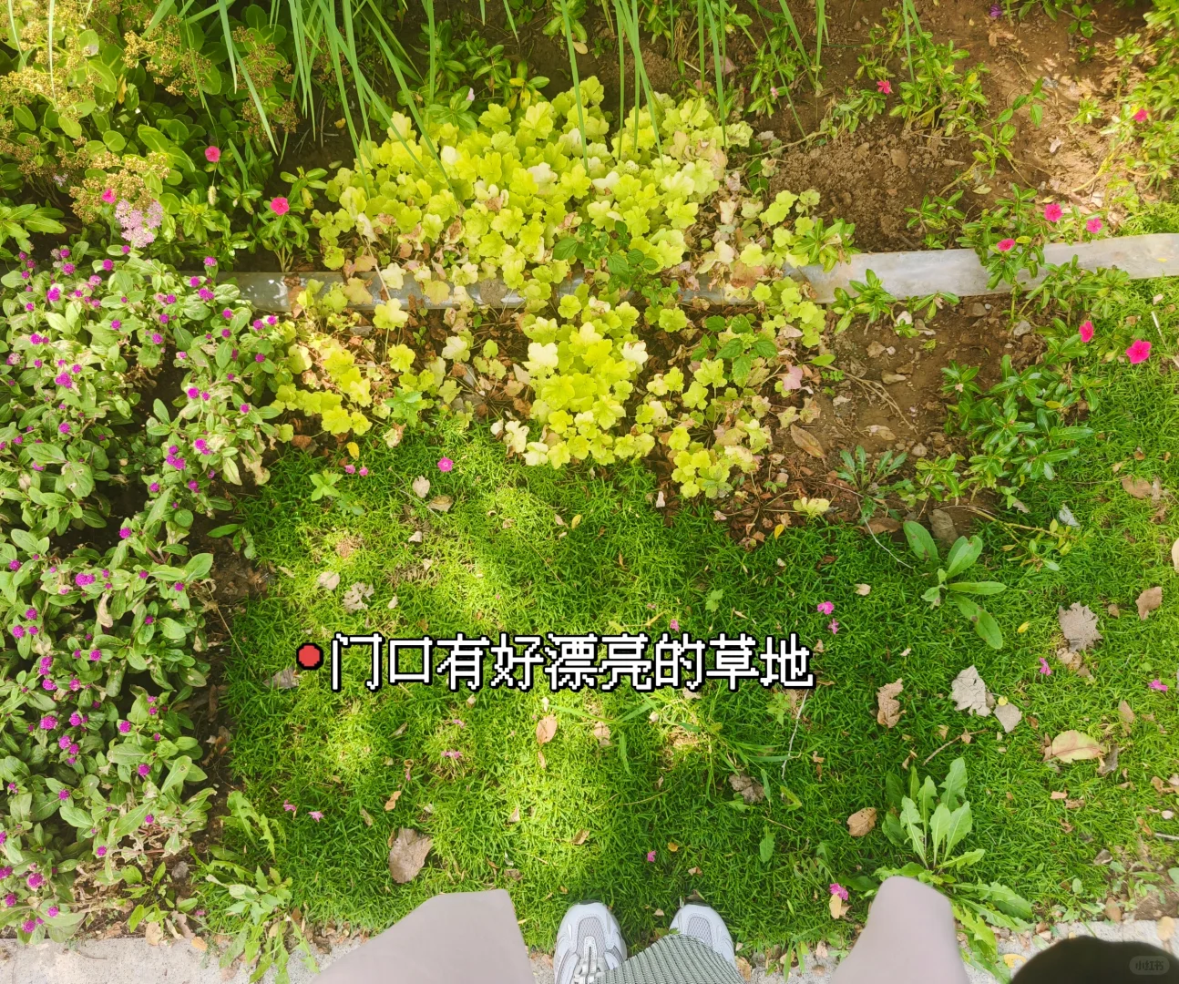 内蒙古国际会展中心宠物展一日游