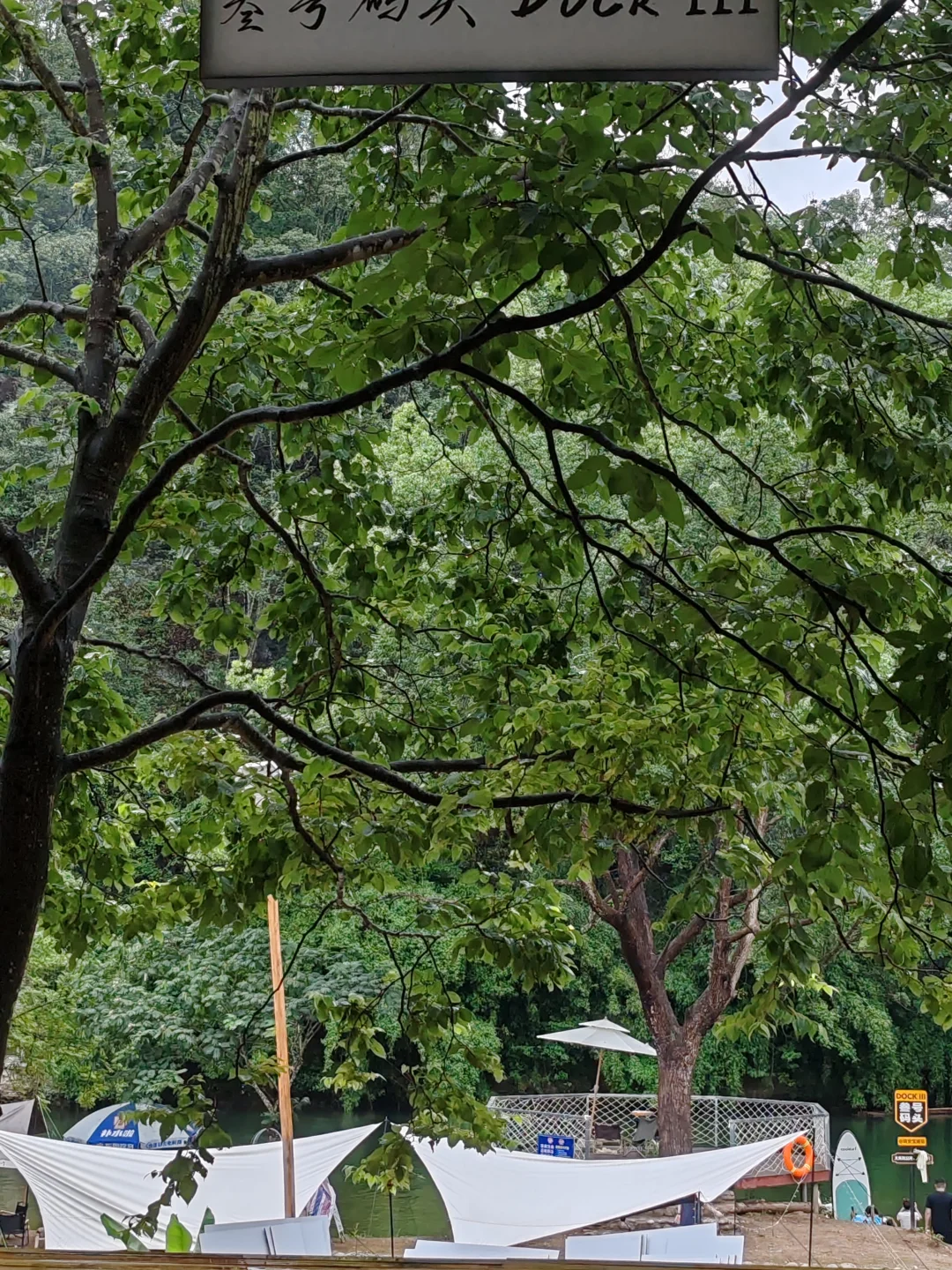 60岁｜每天只做五件事……