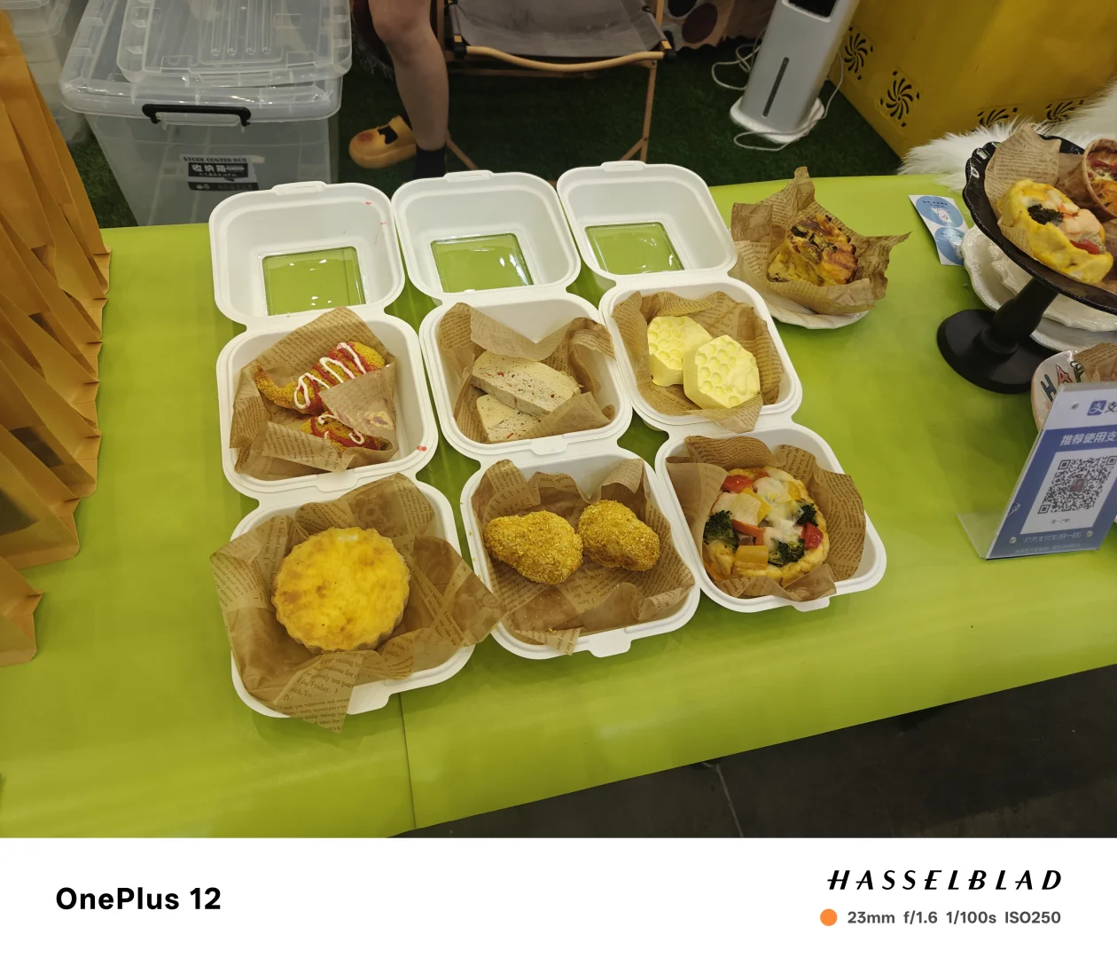 新疆国际会展中心宠物展