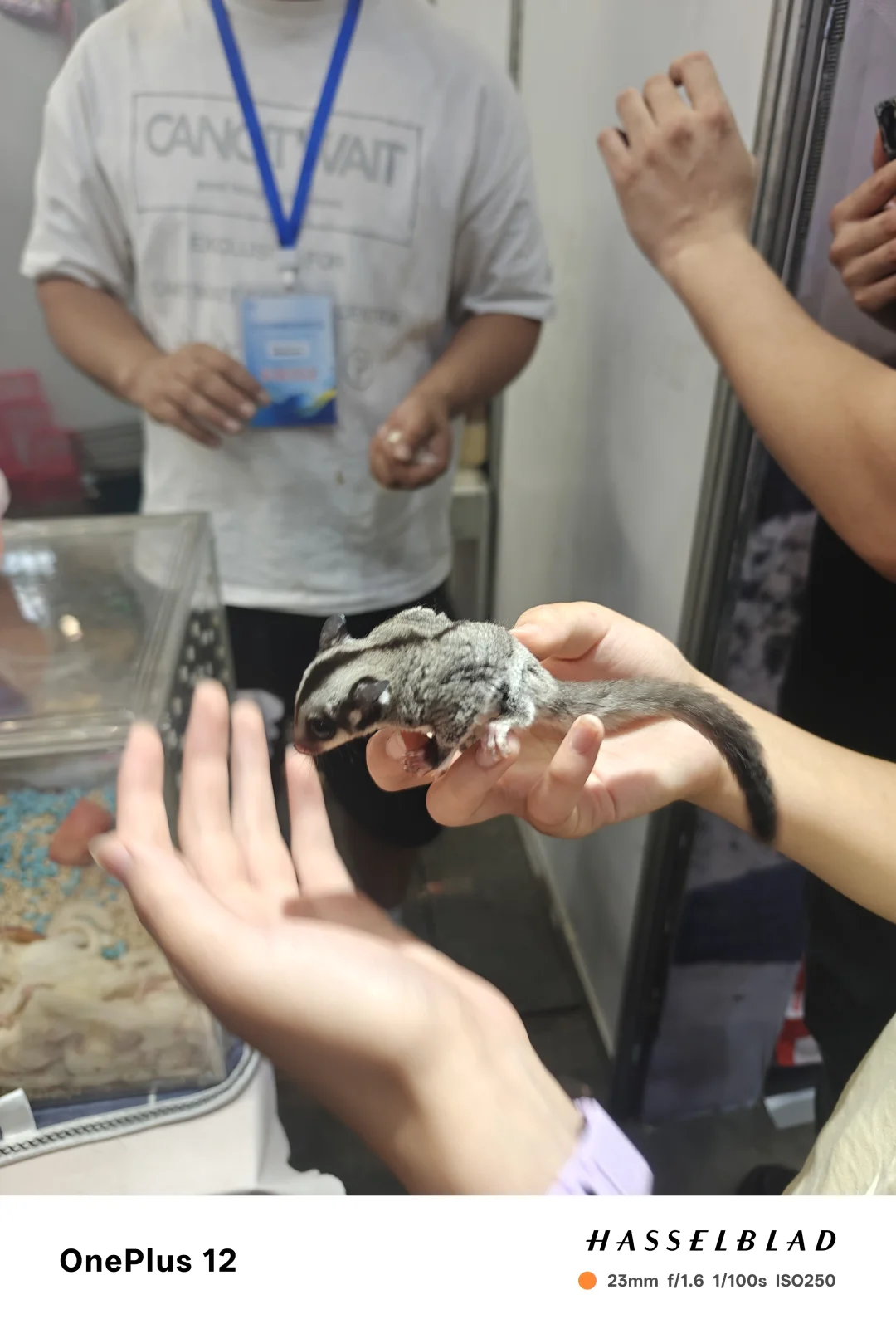 新疆国际会展中心宠物展