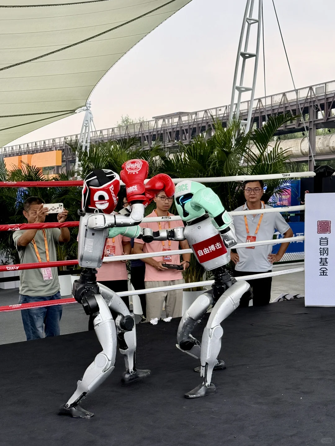 2025服贸会首钢园逛展攻略?