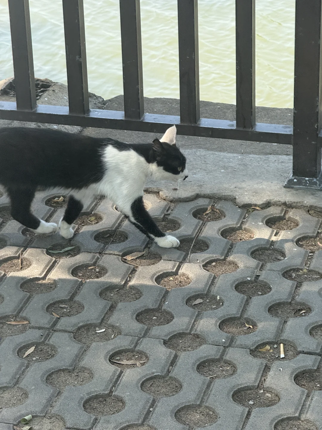 天津小京都·神户园?