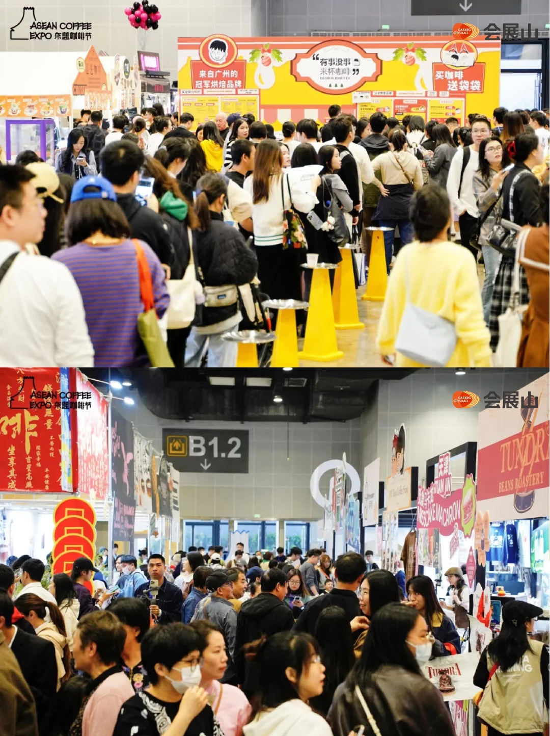 招商启动｜东盟咖啡节，上山喝咖啡!