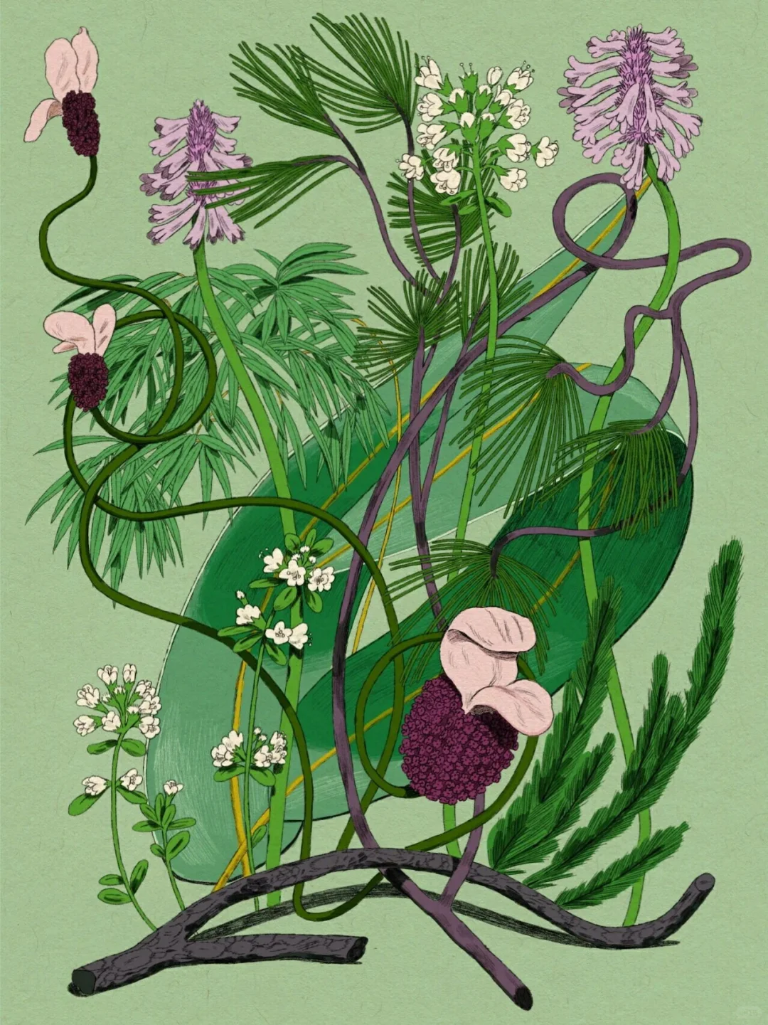 离异老阿姨失眠夜想要点快乐..