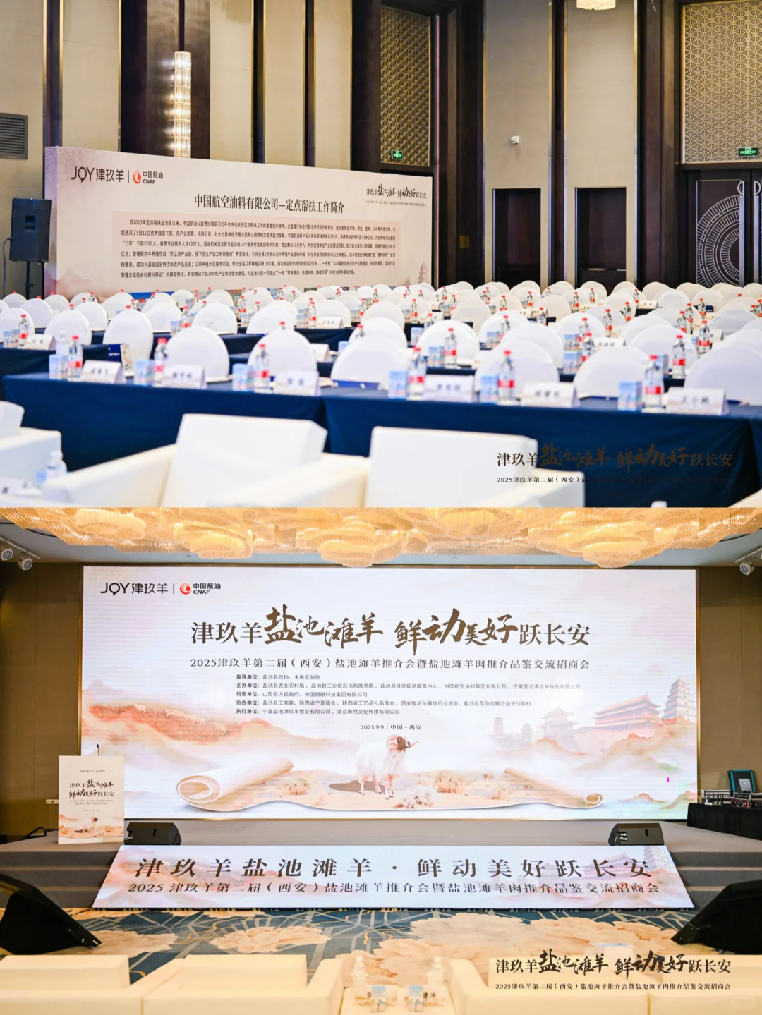 案例分享｜JOY津玖羊 第二届推介会暨招商会