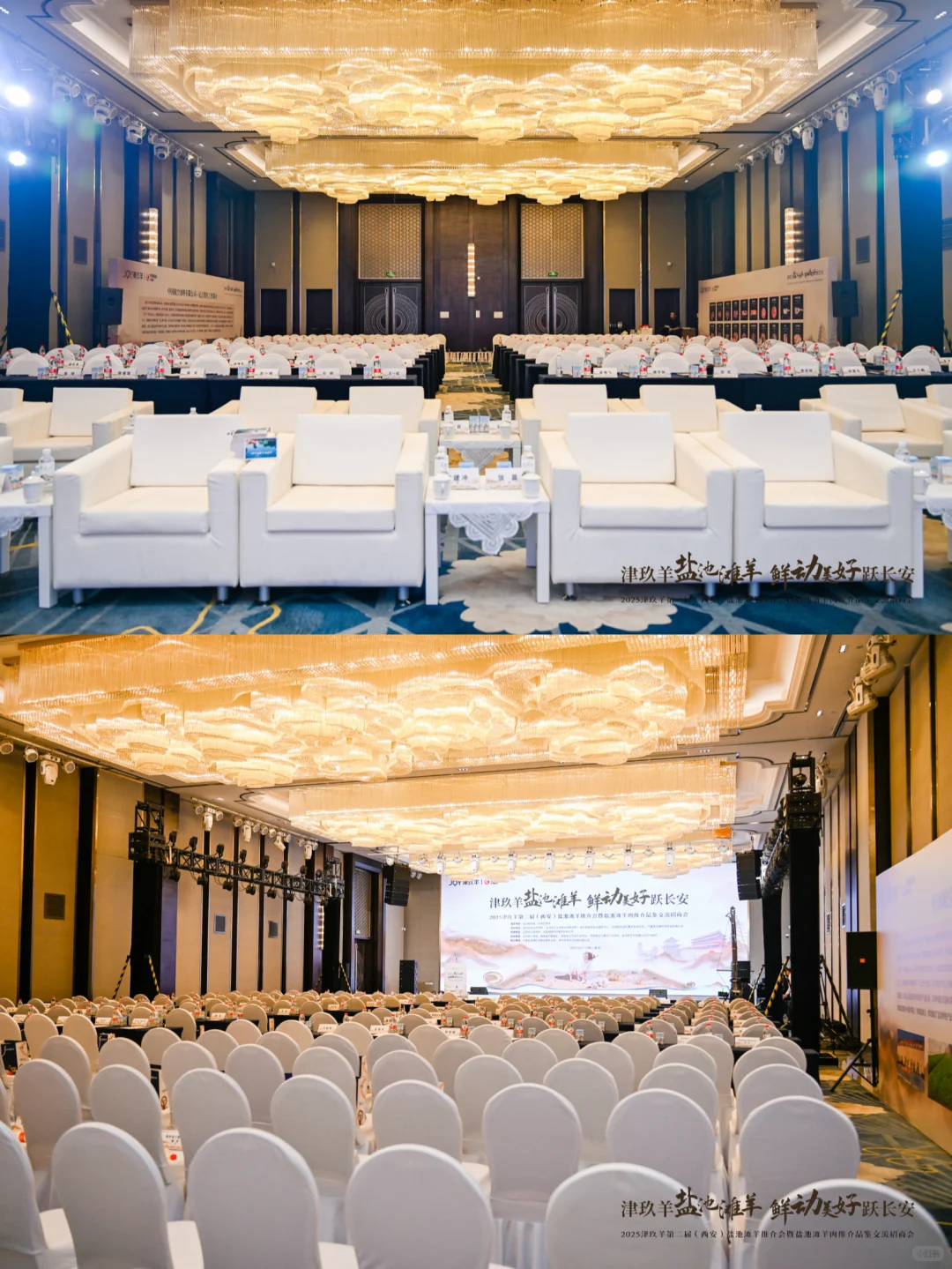 案例分享｜JOY津玖羊 第二届推介会暨招商会