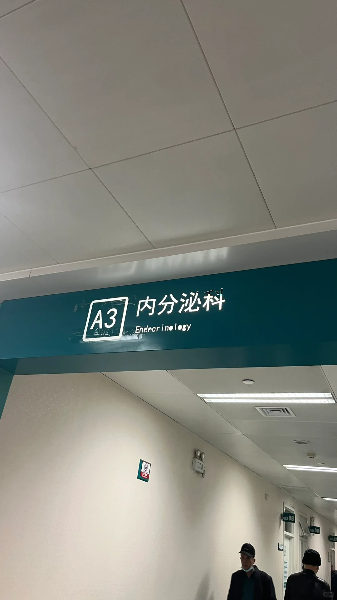 胰岛素抵抗医生说我超级严重