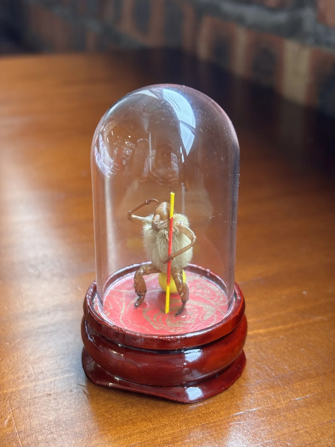 新乡进出口商品博览会买的最值的东西出现了